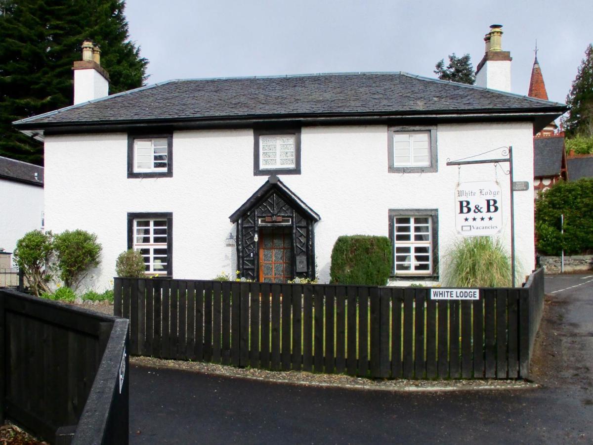 White Lodge B & B Strathpeffer Extérieur photo